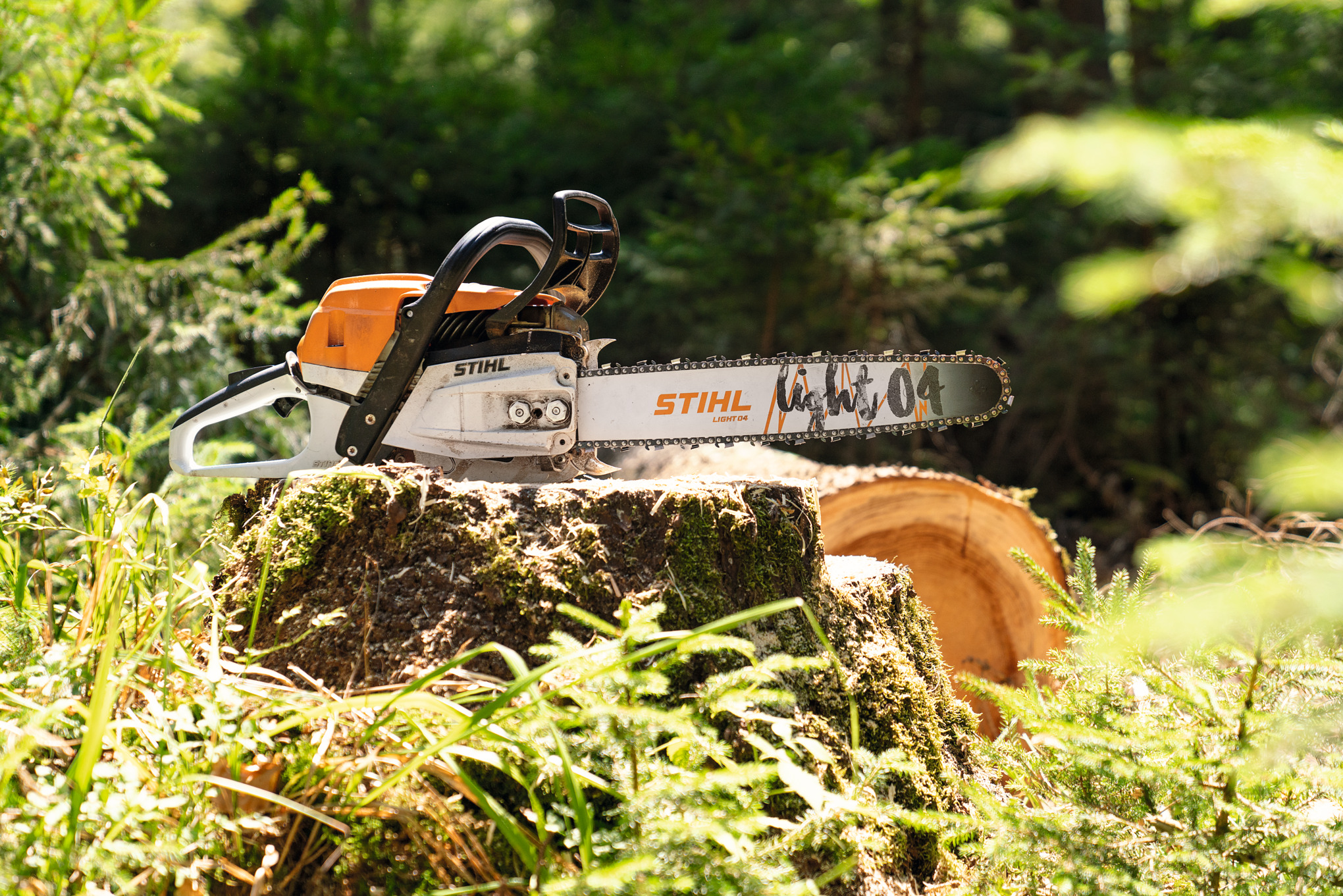 En STIHL MS 261 C-M bensinmotorsag på en trestubbe i skogen