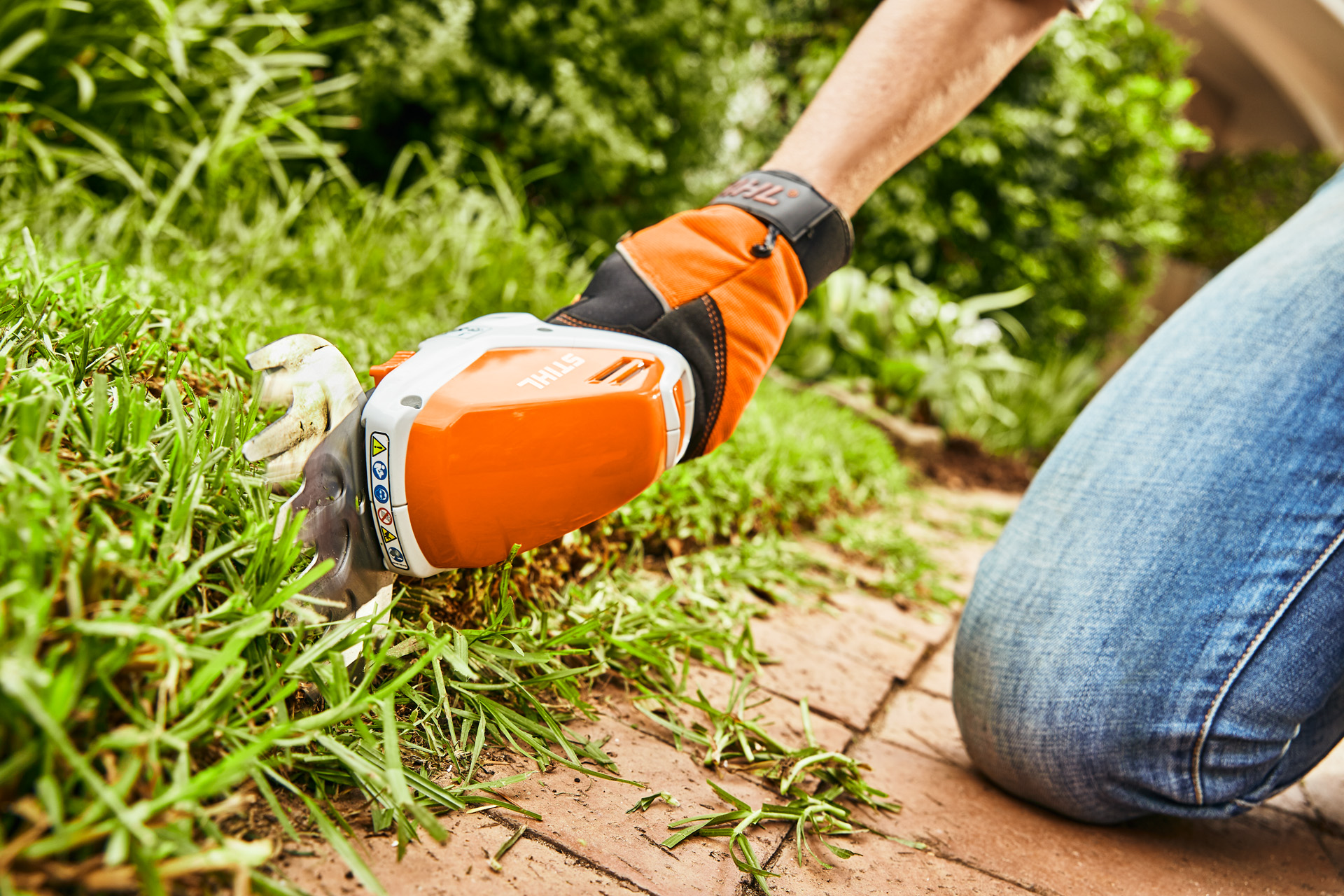 Klipp plenkantene med sesongens bestselger: STIHL HSA 26 batteridrevet busksaks