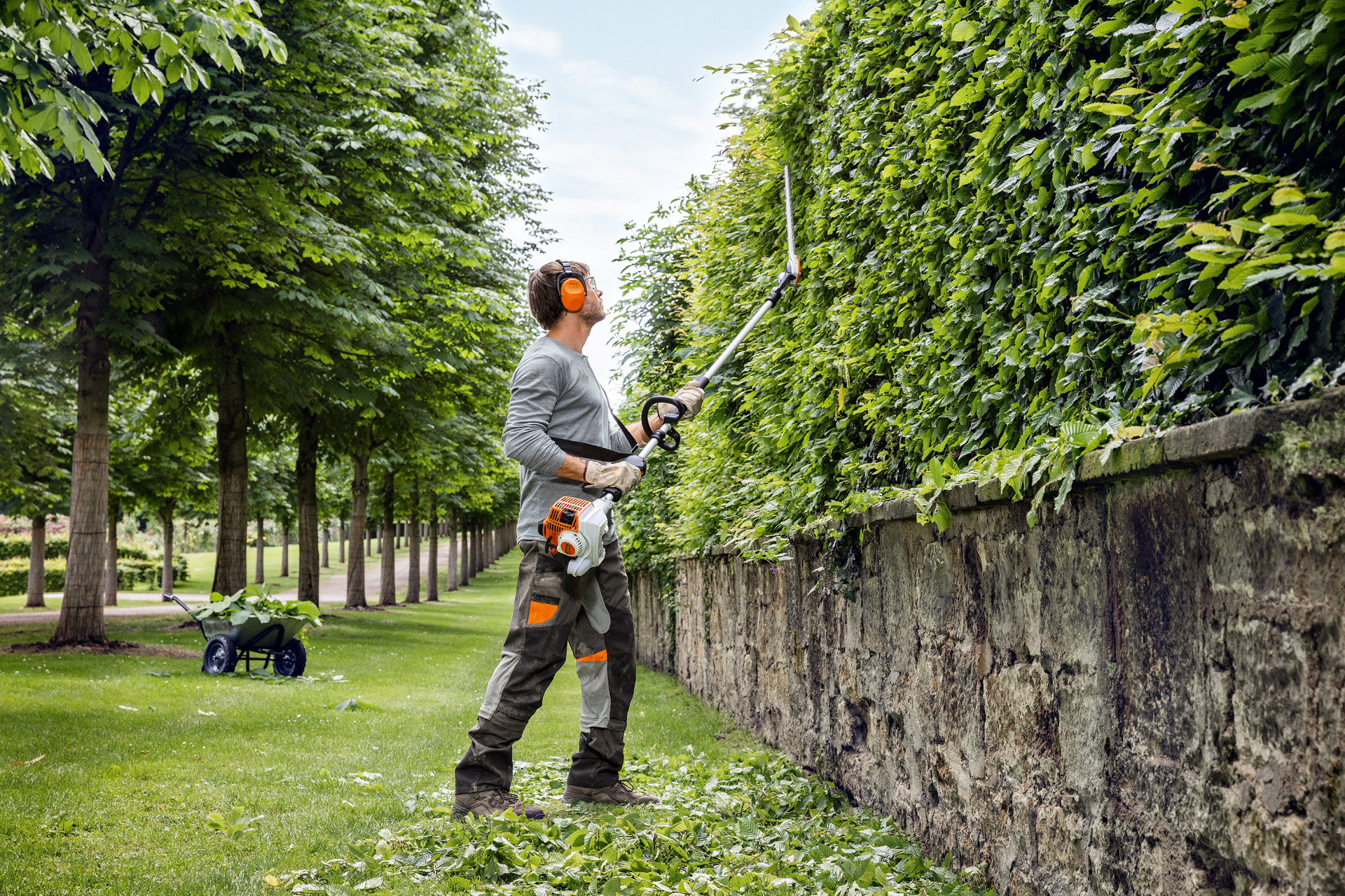 En mann i verneutstyr trimmer hekken loddrett på siden med en langskaftet hekksaks HL 94 fra STIHL